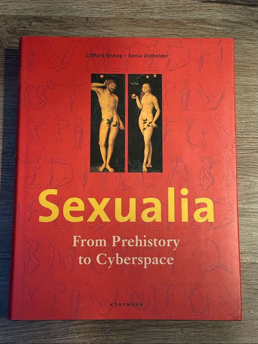 Sexualia From Prehistory to Cyberspace Hardcover Art History Book